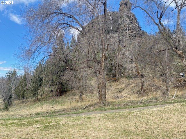 26531 Nelson Road Canyon City, OR 97820 - Photo 3 of 8 a view of a yard with large trees