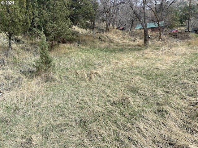 26531 Nelson Road Canyon City, OR 97820 - Photo 7 of 8 a view of a yard with a tree