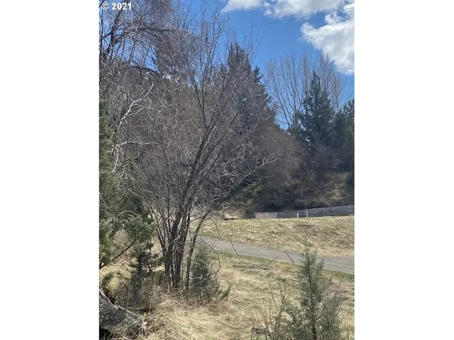 $87,000 | 26531 Nelson Road, Canyon City, OR 97820