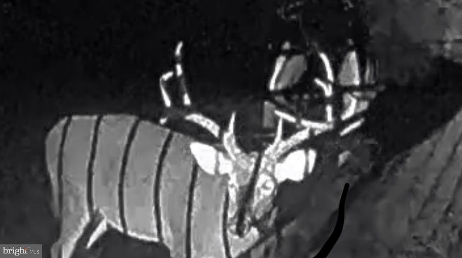 1480 Truslow Road Fredericksburg, VA 22406 - Photo 51 of 52