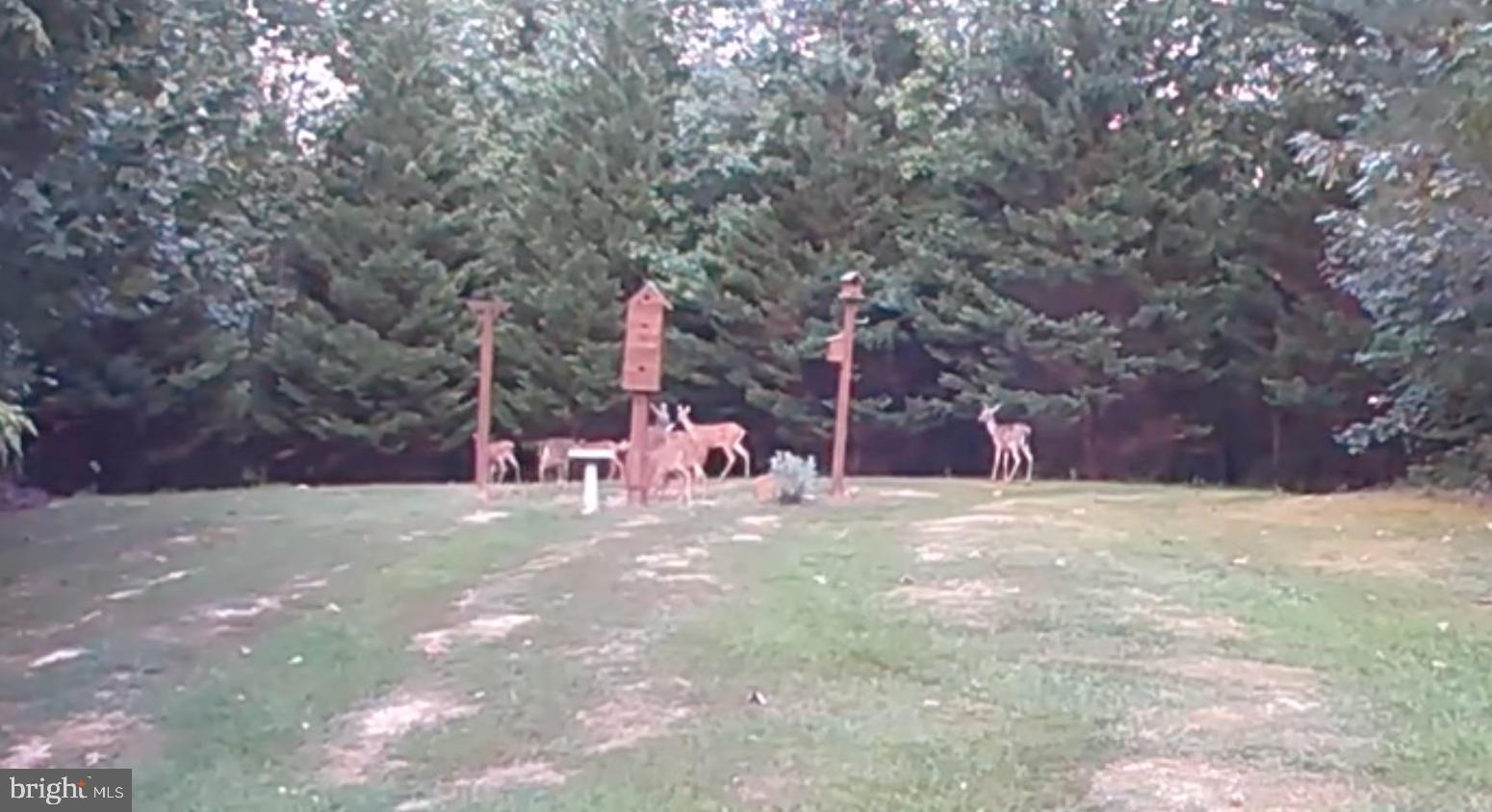 1480 Truslow Road Fredericksburg, VA 22406 - Photo 52 of 52