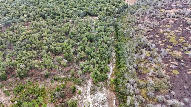 $99,000 | 0 Pine Log Road, Chipley, FL 32428
