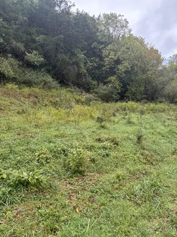a view of a green field