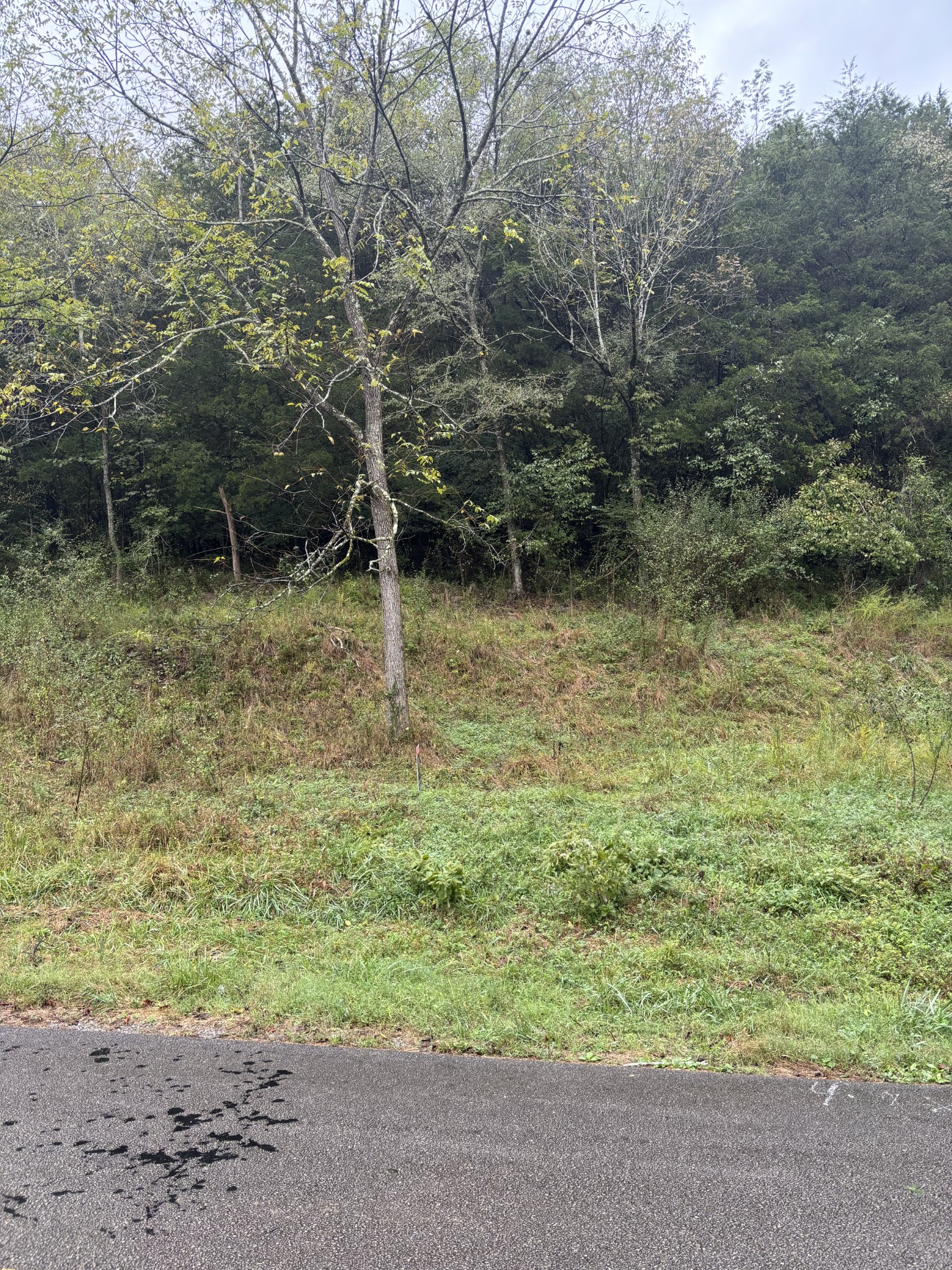 0 Gipson Hollow Road Gainesboro, TN 38562 - Photo 4 of 9 a backyard of a house with lots of green space