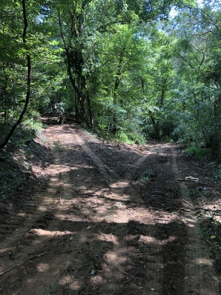 0 Gipson Hollow Road Gainesboro, TN 38562 - Photo 7 of 9 a view of a forest with trees