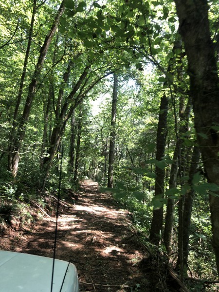 0 Gipson Hollow Road Gainesboro, TN 38562 - Photo 8 of 9 a view of outdoor space and yard