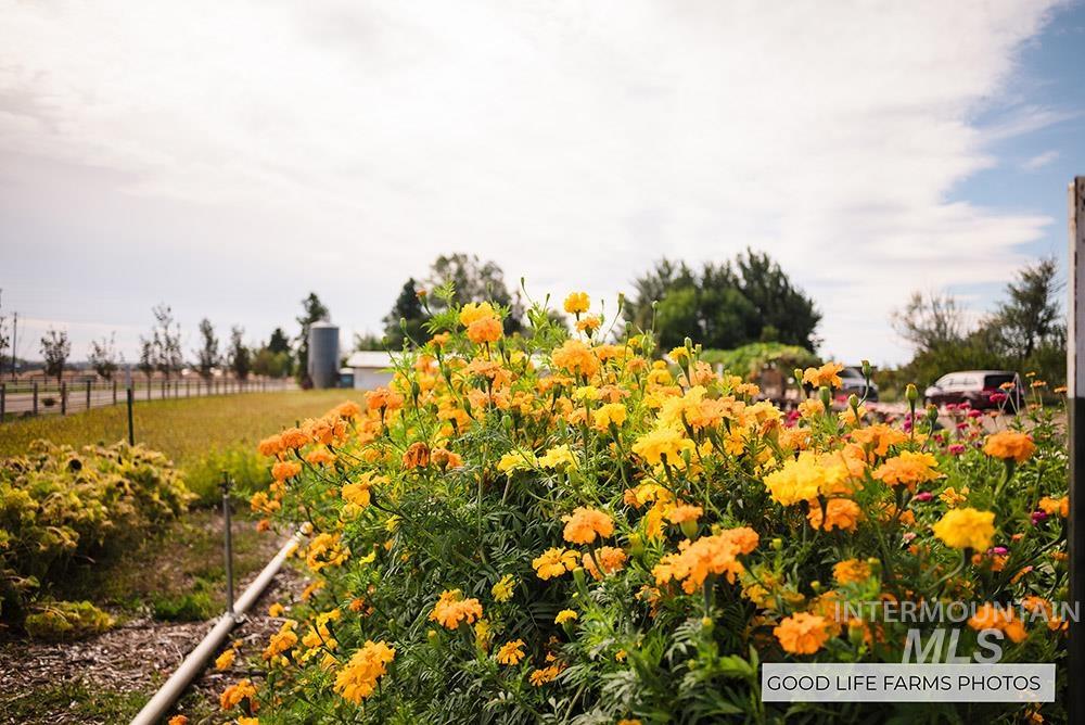 5600 West Beacon Light Road Eagle, ID 83616 - Photo 21 of 21