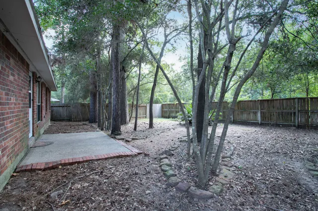 a view of a backyard with large trees and wooden fence
