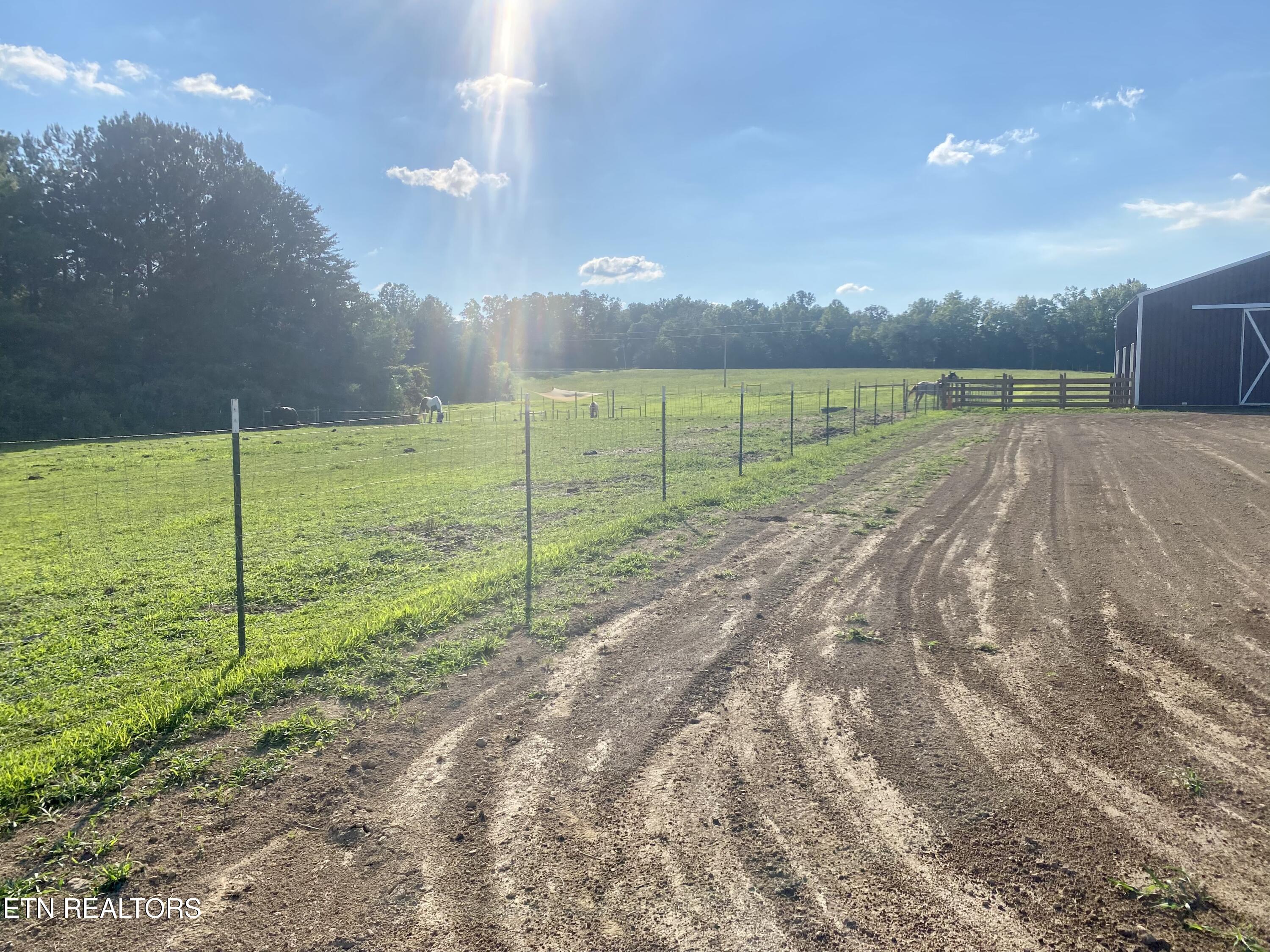 775 Genesis Road Lancing, TN 37770 - Photo 16 of 21 16) 59969-68760c4454525