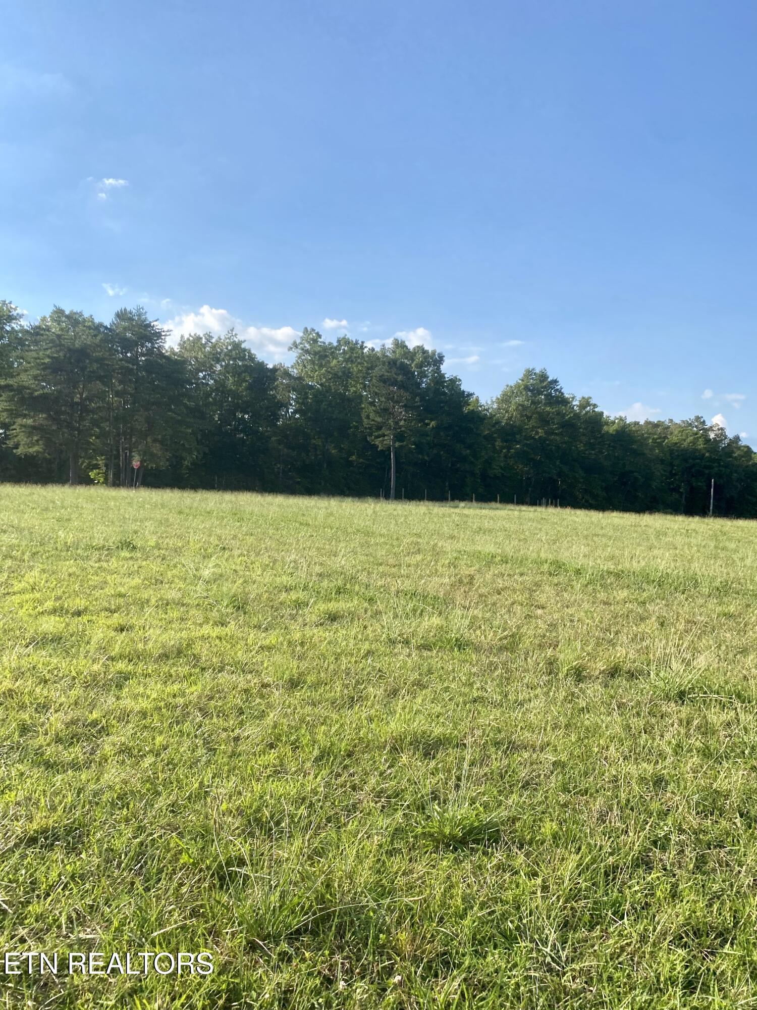 775 Genesis Road Lancing, TN 37770 - Photo 6 of 21 6) 59969-68760c4531ed3