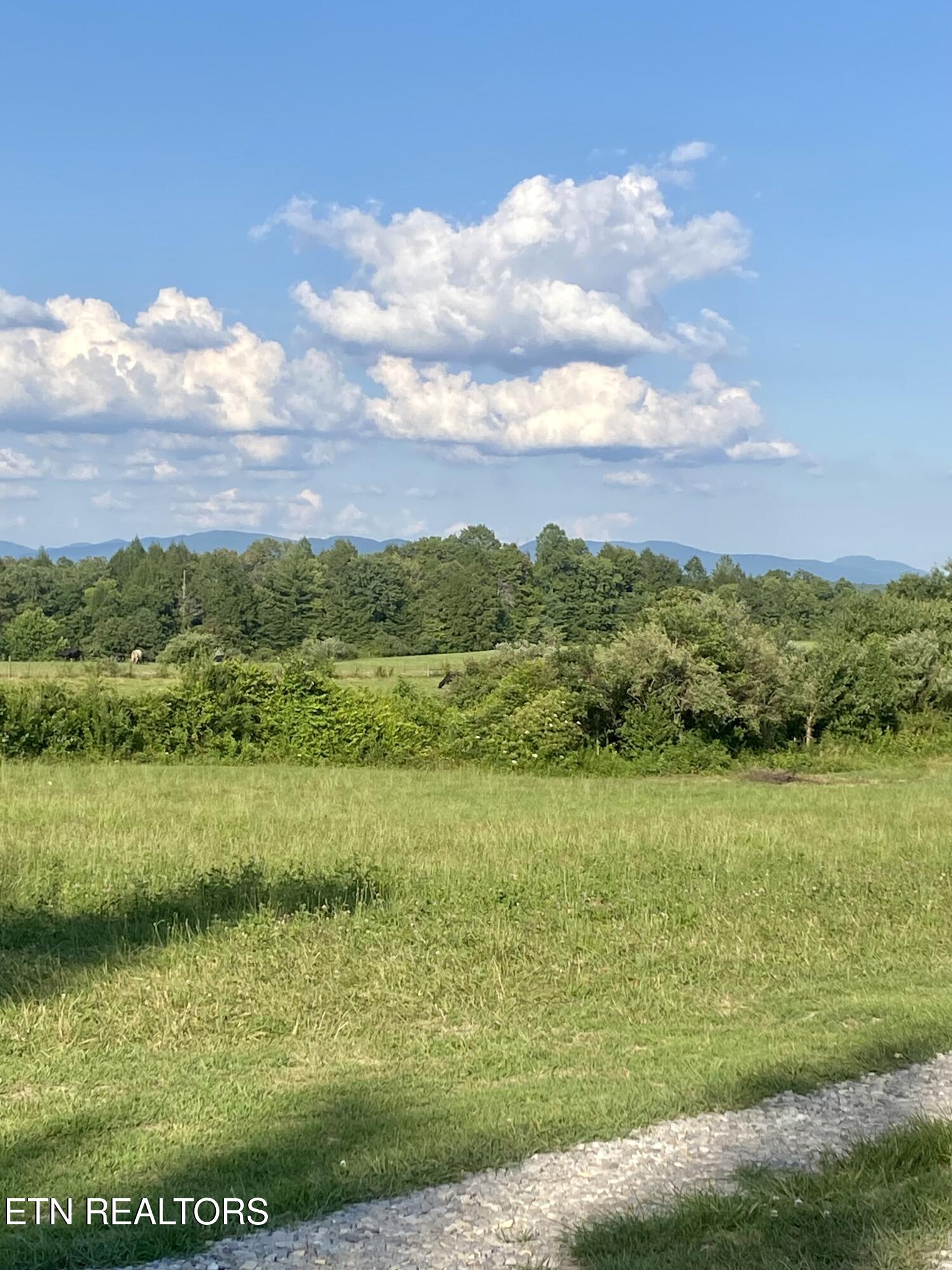 775 Genesis Road Lancing, TN 37770 - Photo 9 of 21 9) 59969-68760c3cecb2e