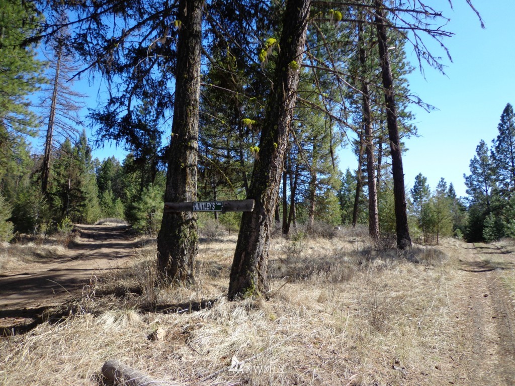 24 Grizzly Loop Road Republic, WA 99166 - Photo 2 of 20 a view of a forest filled with trees