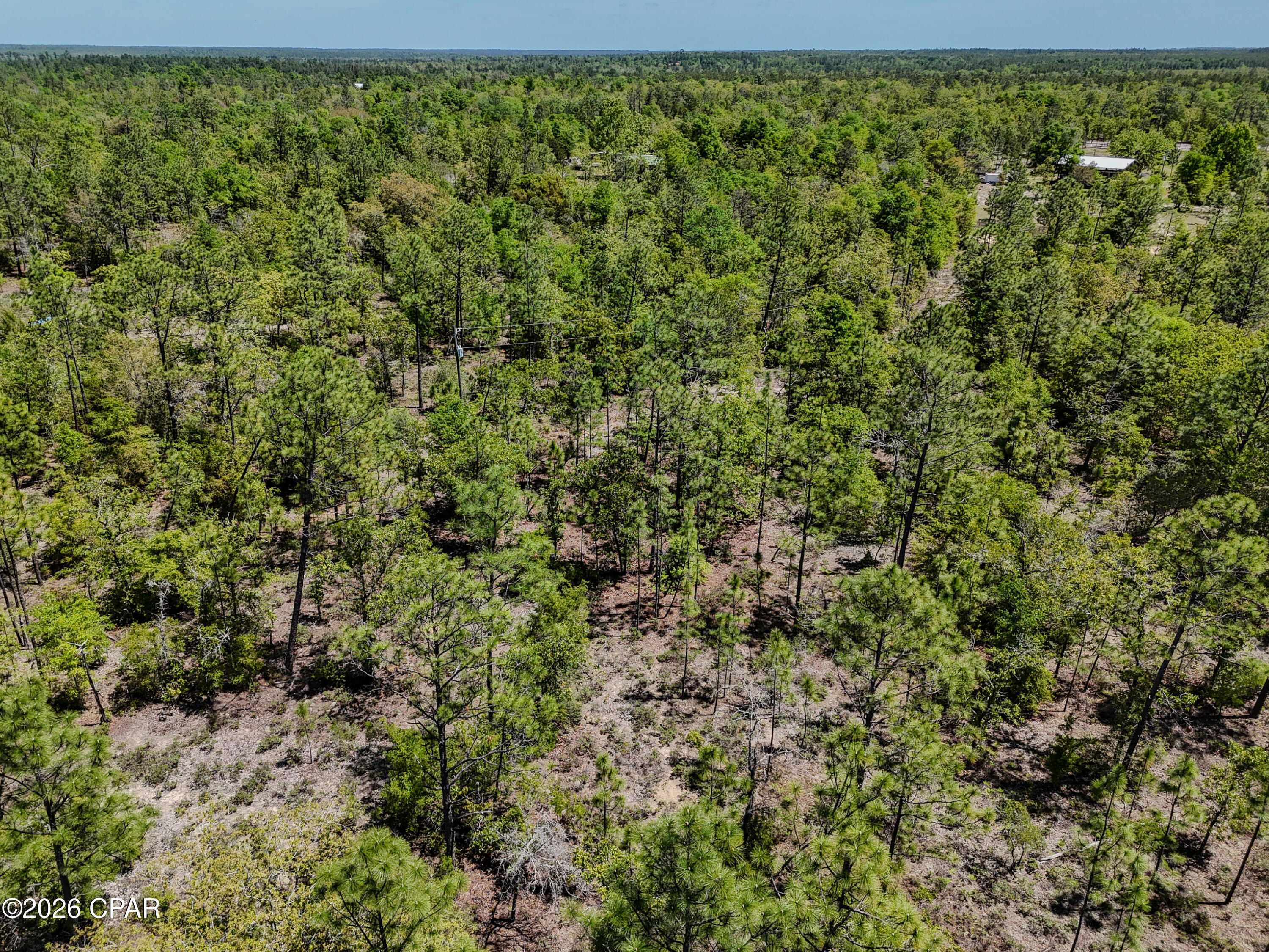 21937 Clarks Road Fountain, FL 32438 - Photo 7 of 15