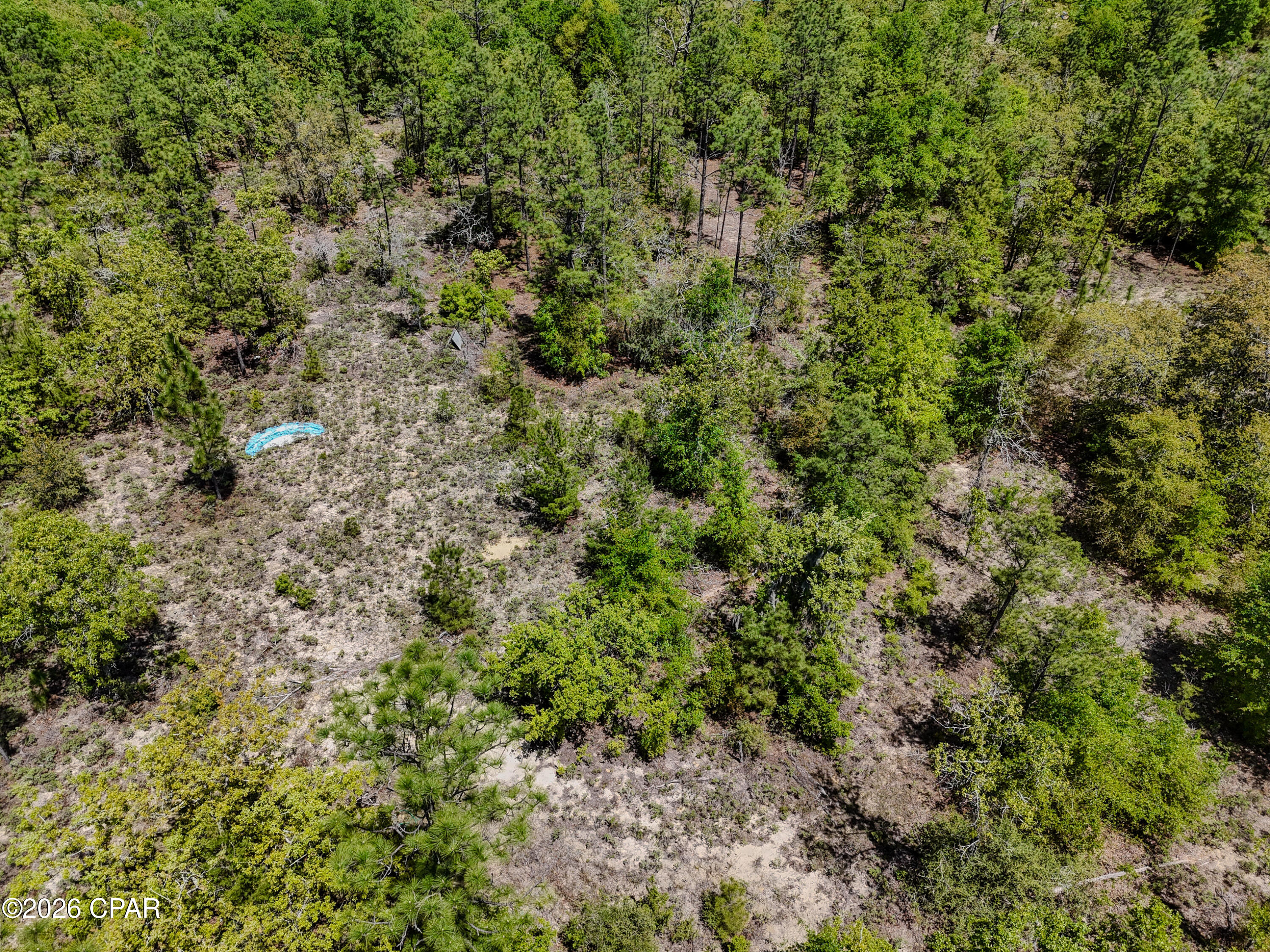 21937 Clarks Road Fountain, FL 32438 - Photo 9 of 15