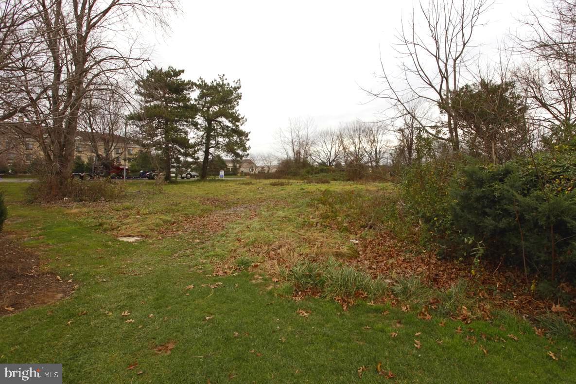 a view of a field with trees
