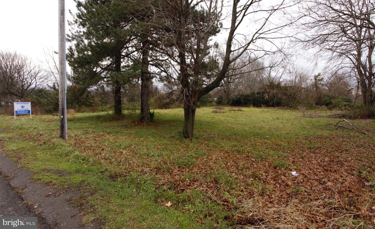 130 East Street Road Warminster, PA 18974 - Photo 6 of 6 a view of outdoor space with trees