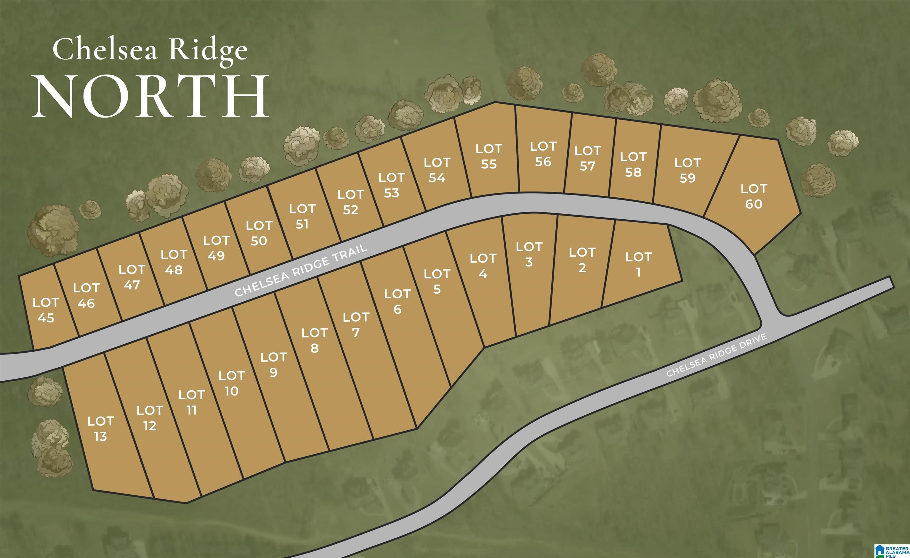 50 Chelsea Ridge Trail Columbiana, AL 35051 - Photo 28 of 28