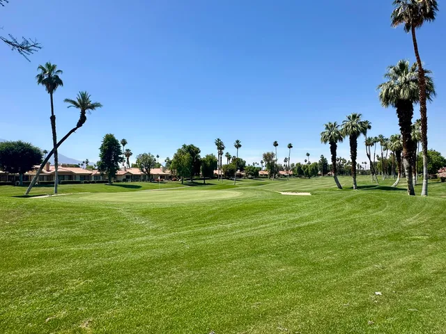 a view of field with trees in the background