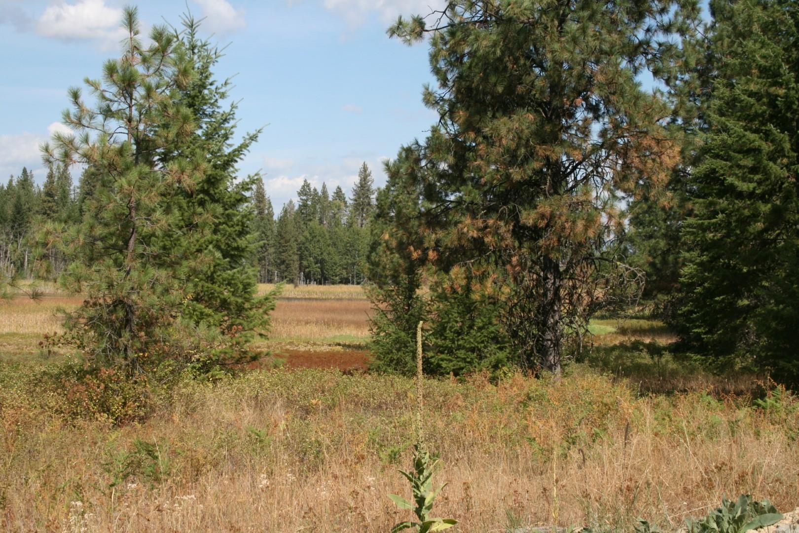 0 Little Sweden Road, Unit LOT B Valley, WA 99181 - Photo 2 of 7