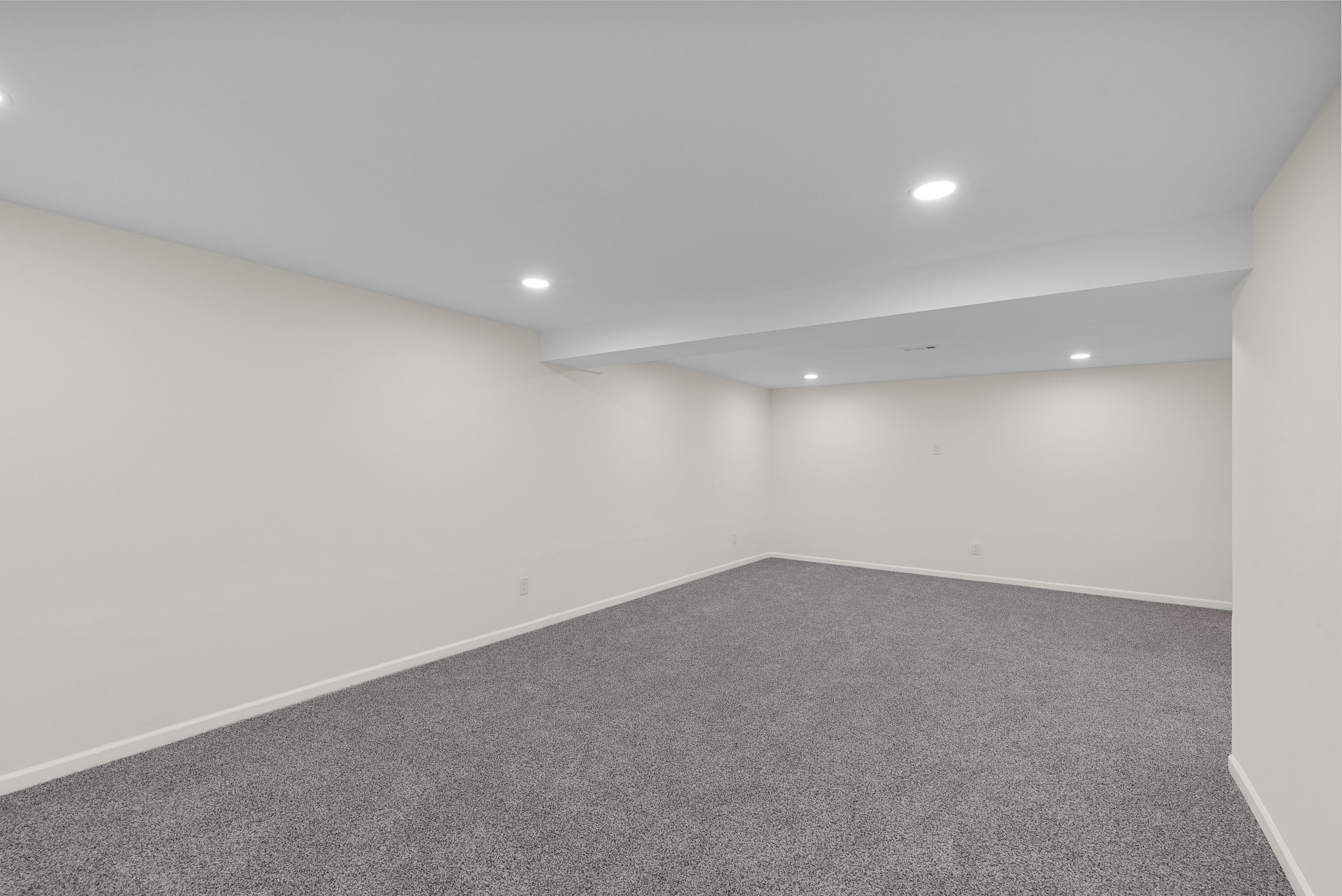 1005 Center Street Delavan, WI 53115 - Photo 10 of 14 Rec Room - LL