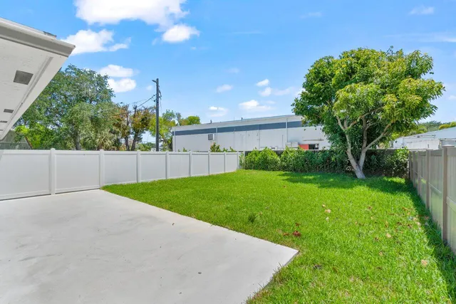 a view of backyard with plants and palm tree