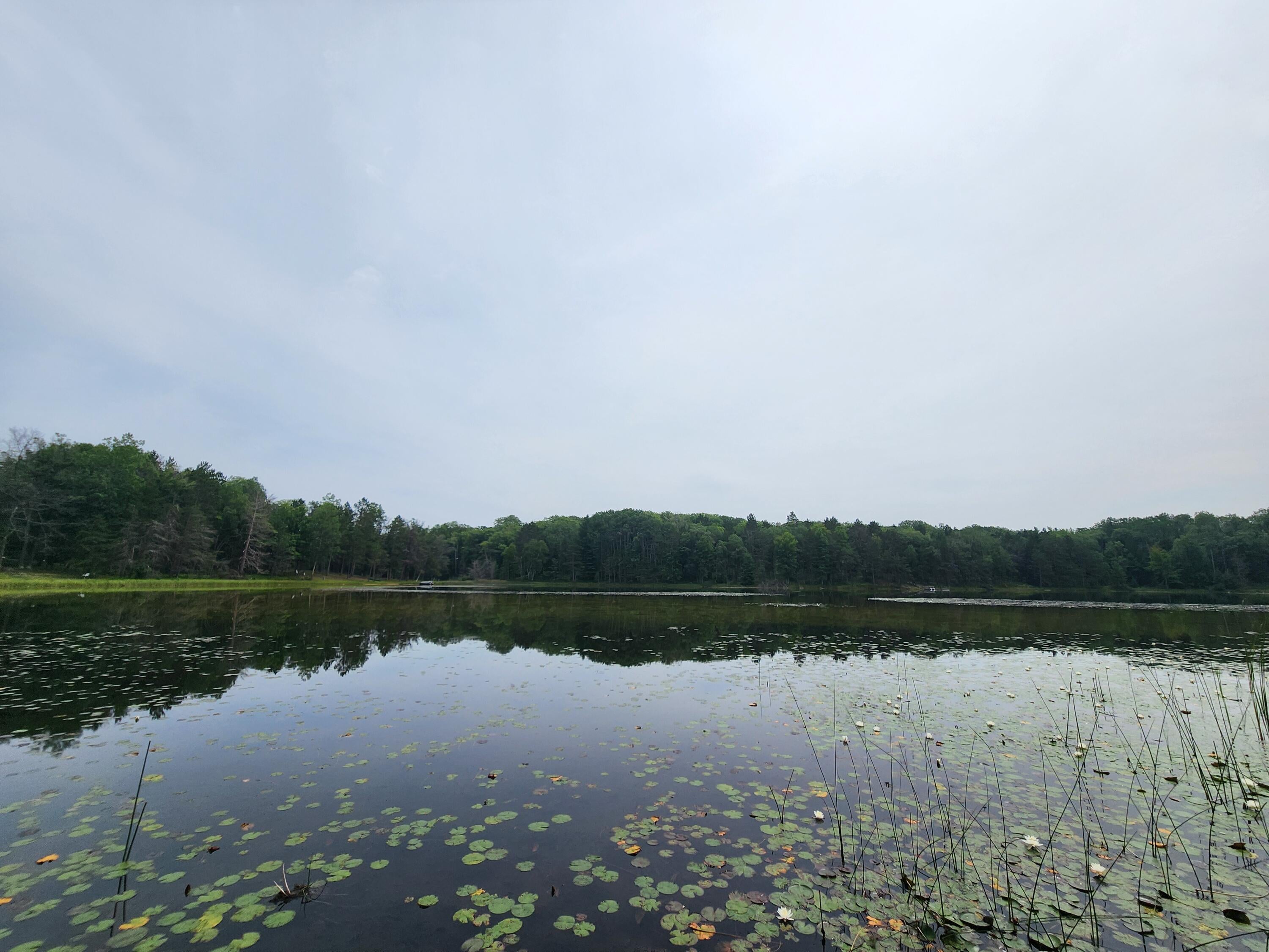 3150 Saddleback Lake Road Comins, MI 48619 - Photo 9 of 61 20240801_132521