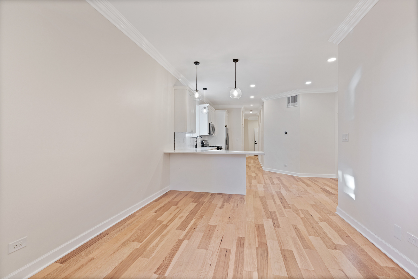 2315 West Rice Street, Unit 1N Chicago, IL 60622 - Photo 9 of 37 a view of large kitchen with wooden floor and stainless steel appliances