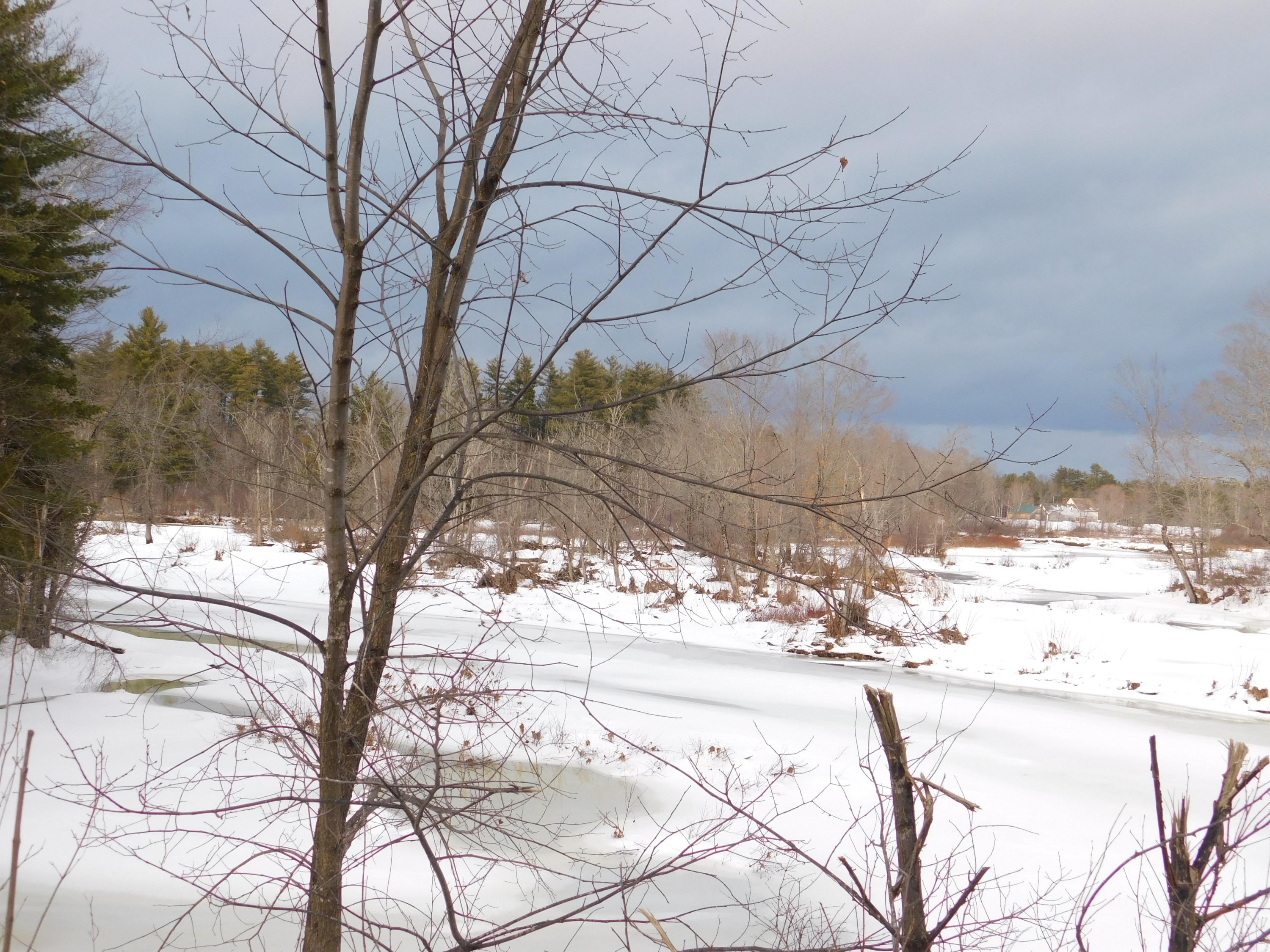 12 Davidson Road Abbot, ME 04406 - Photo 67 of 73 DSCN0614