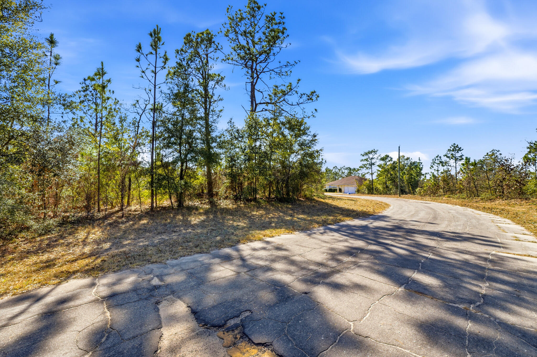 Lot 36 Hernando Circle Chipley, FL 32428 - Photo 2 of 8 a view of a yard with a tree