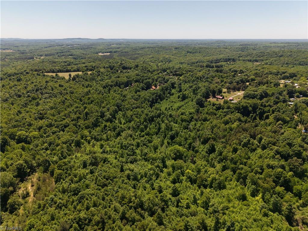 0 Fuller Mill Road North Thomasville, NC 27360 - Photo 14 of 22