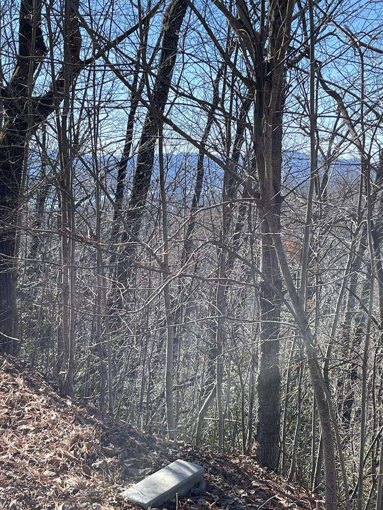 Lot 29 Ash Branch Road Hayesville, NC 28904 - Photo 1 of 5 Main View