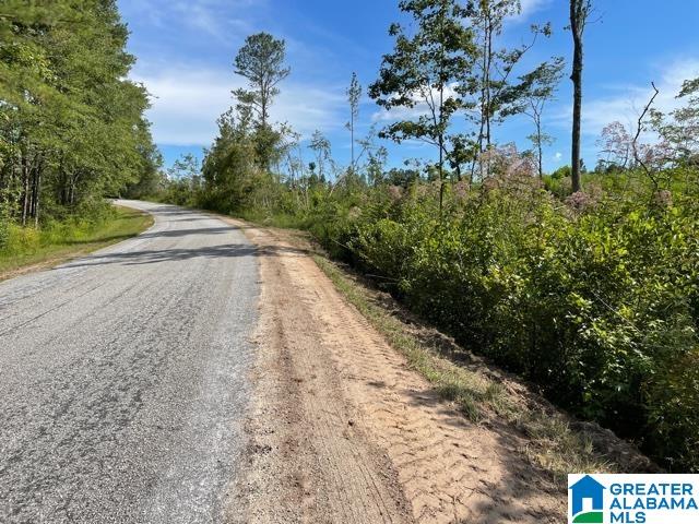 16 County Road, Unit TRACT 2 76 Roanoke, AL 36274 - Photo 2 of 4