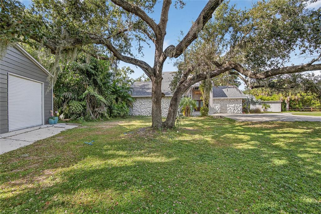 3309 Timberlee Road Wimauma, FL 33598 - Photo 34 of 55 a view of a tree in front of a house