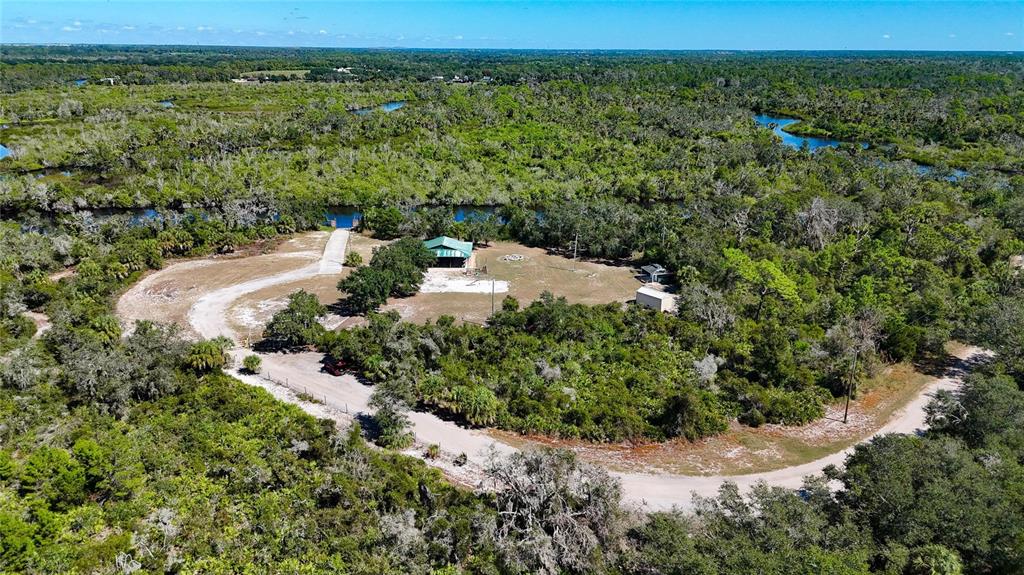 3309 Timberlee Road Wimauma, FL 33598 - Photo 44 of 55 a view of a bunch of trees and bushes