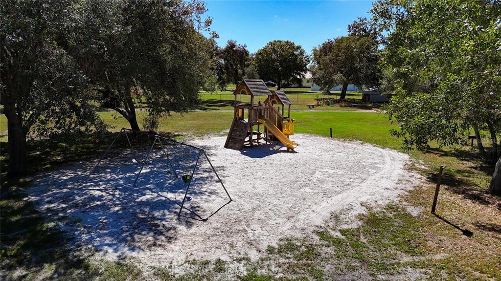 3309 Timberlee Road Wimauma, FL 33598 - Photo 50 of 55 a view of a park with slide