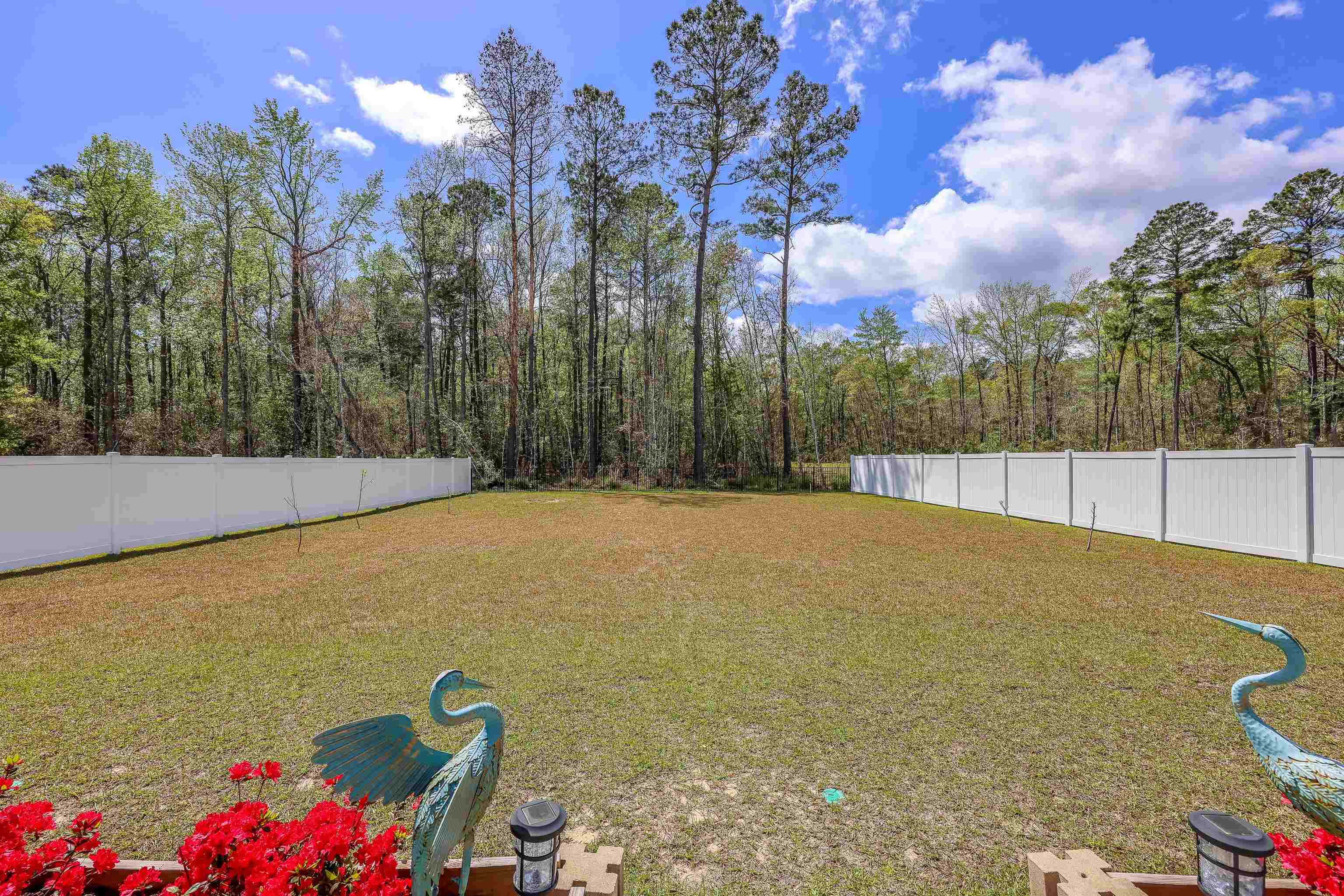 202 Linares Street Loris, SC 29569 - Photo 20 of 25