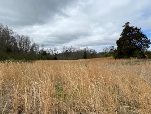 2 County Road 170 Athens, TN 37303 - Photo 2 of 2