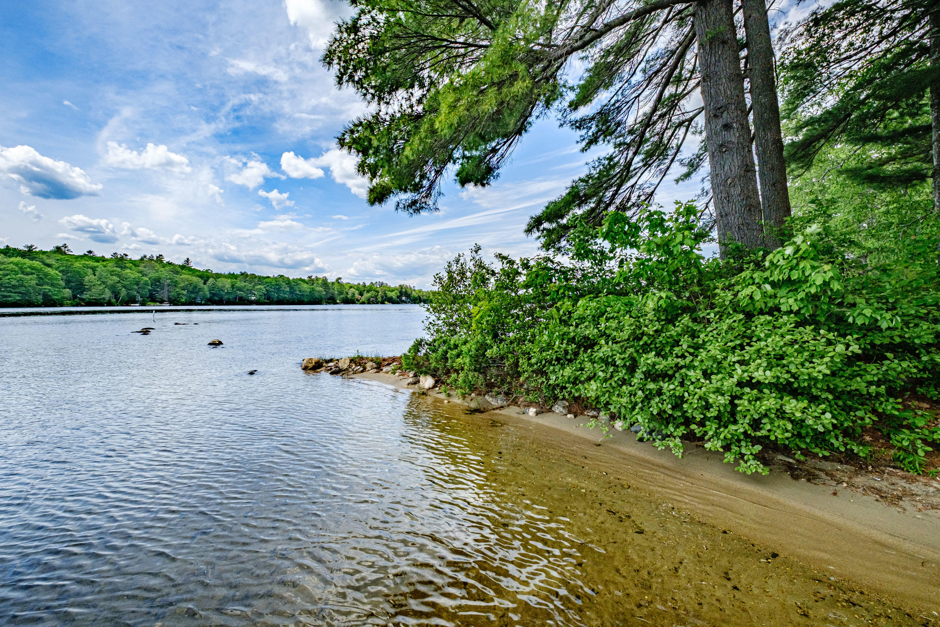 323 Pride Farm Road Falmouth, ME 04105 - Photo 55 of 60 20210602gp-61115