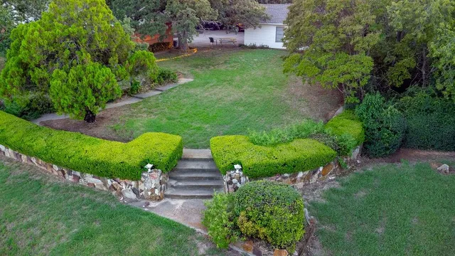 a view of a garden with plants and large trees