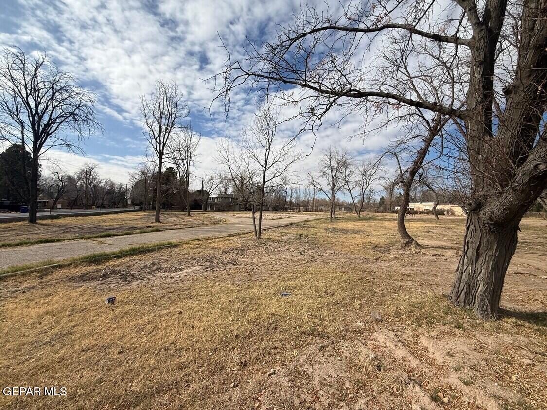 201 West Sunset Road El Paso, TX 79922 - Photo 8 of 8 a view of outdoor space with lots of trees