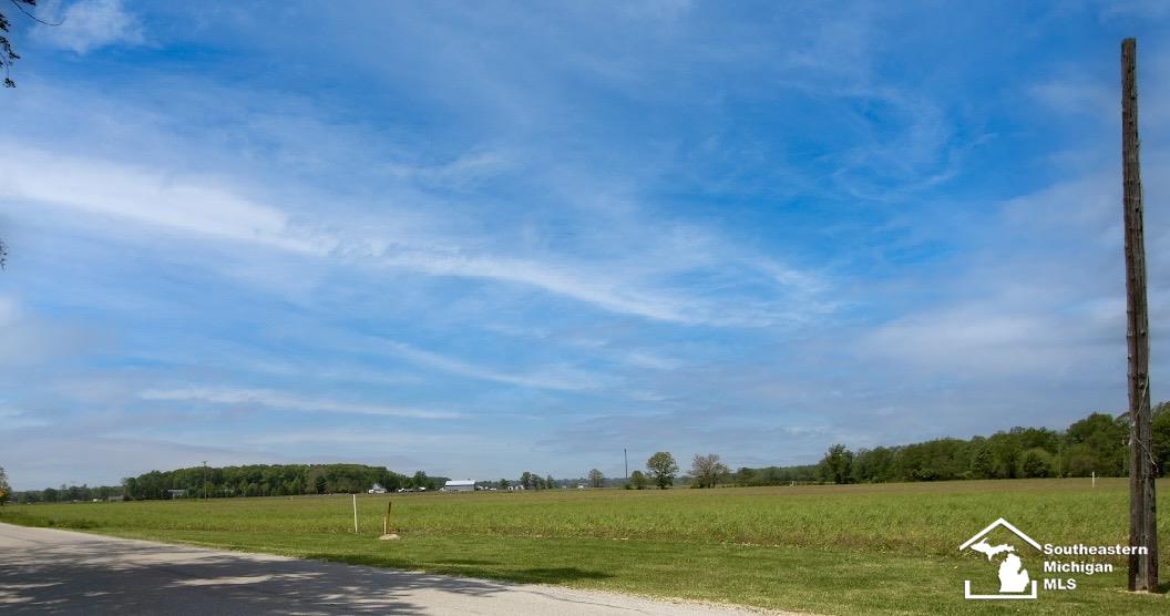 0 Fay Road Carleton, MI 48117 - Photo 4 of 5