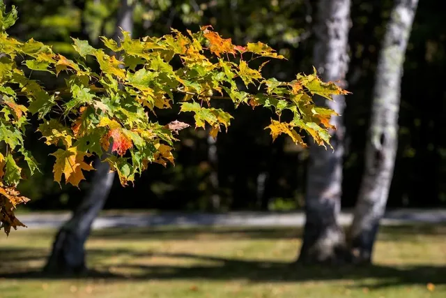 $970,000 | 24 Highway 11, Landgrove, VT 05148