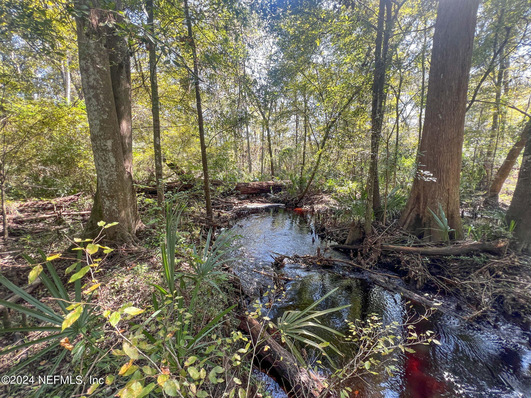 11644 Old Kings Road Jacksonville, FL 32219 - Photo 81 of 102 ISO Photo_11644 Old Kings Rd_JAX FL_080
