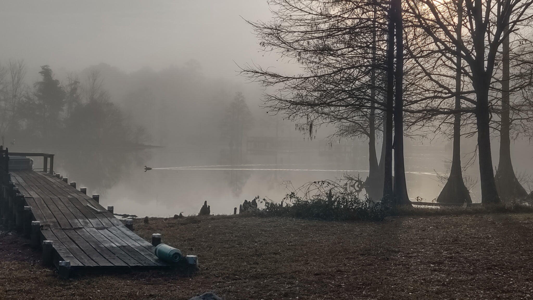 138 State Rd S-38-1754 Eutawville, SC 29048 - Photo 77 of 77
