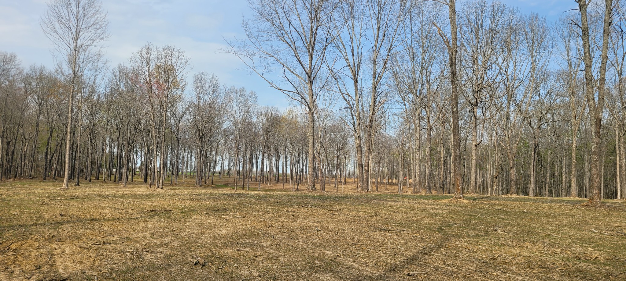 6 Goforth Road Morrison, TN 37357 - Photo 2 of 5 a view of outdoor space with wooden fence