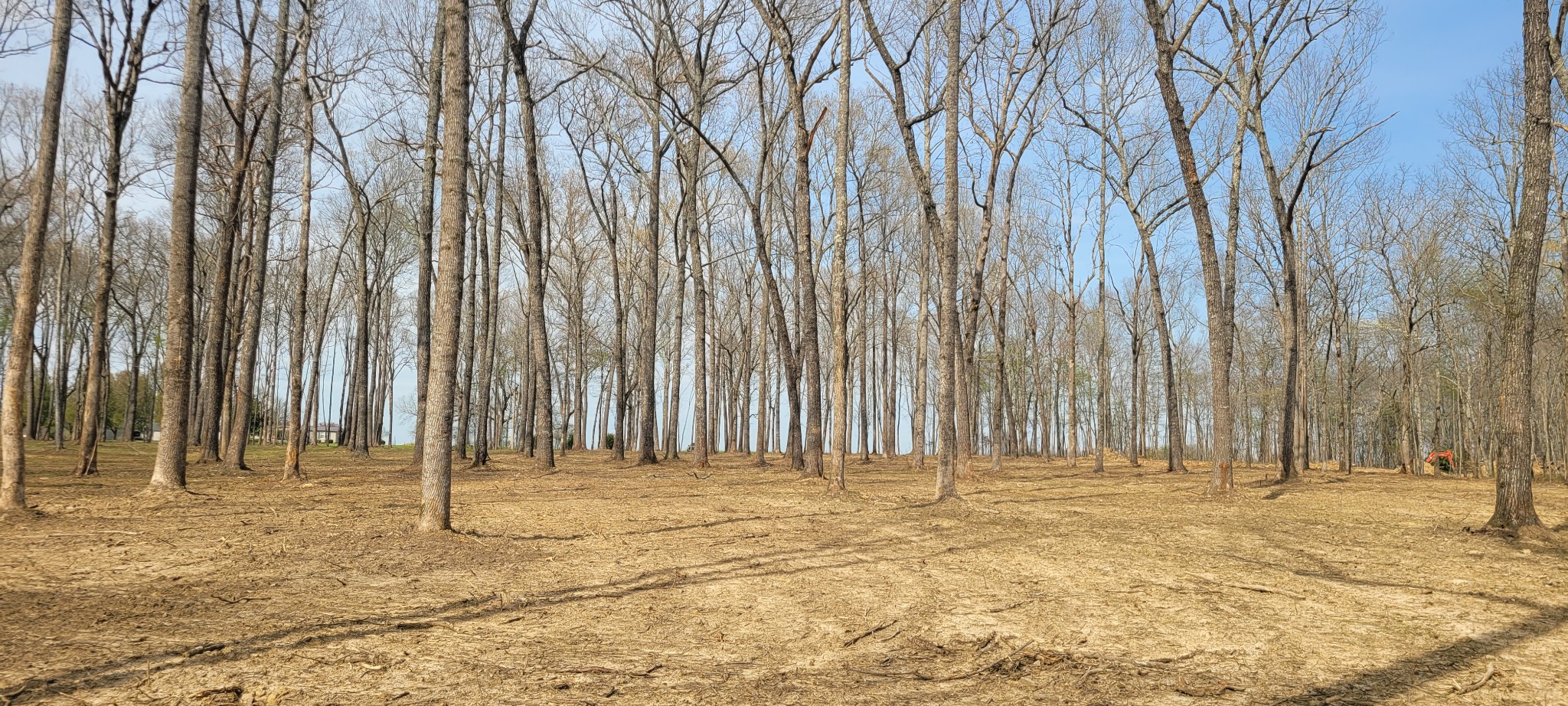 6 Goforth Road Morrison, TN 37357 - Photo 3 of 5 a view of wooden fence and trees