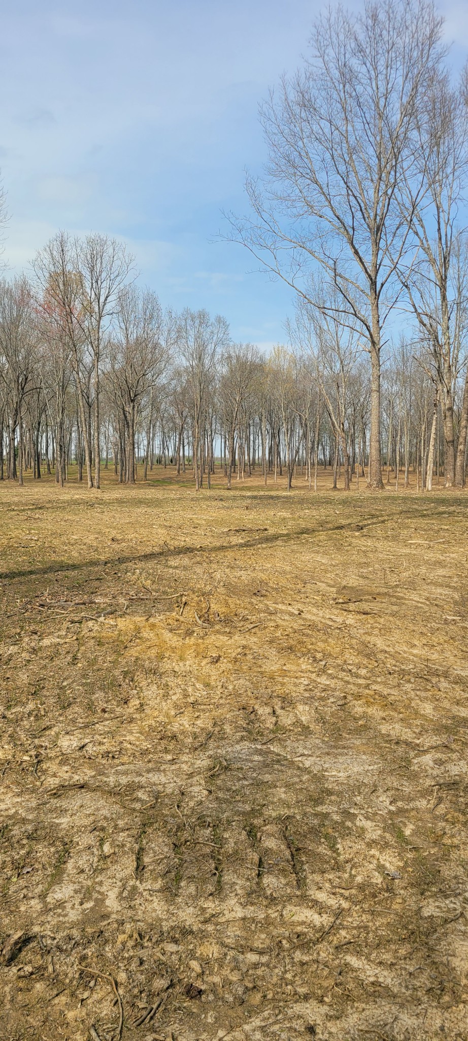 6 Goforth Road Morrison, TN 37357 - Photo 5 of 5 a view of an ocean