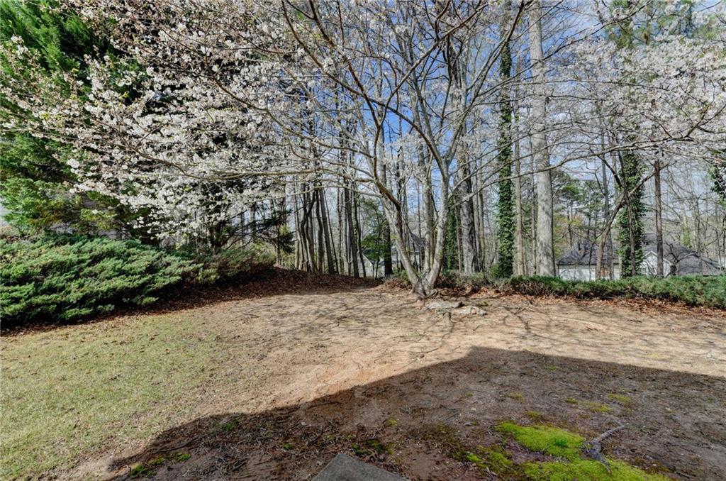 100 Hawnley Trc Northwest Suwanee, GA 30024 - Photo 52 of 58 a view of a out door space area