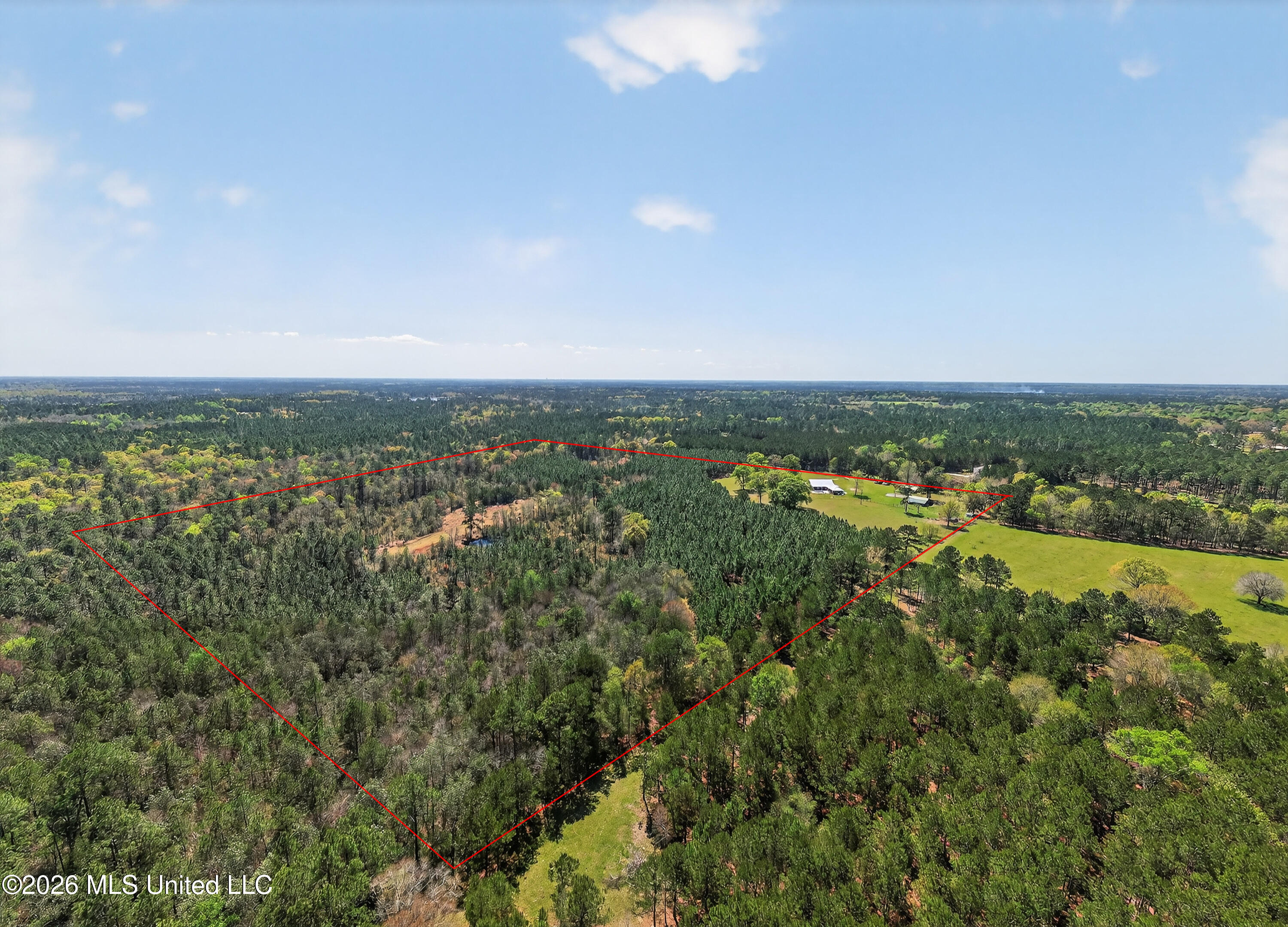28000 Eugene E Ladner Road Perkinston, MS 39573 - Photo 67 of 83 28000EugeneELadnerRd-75