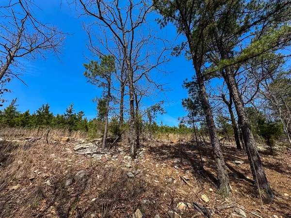 $325,000 | 1 Off N4220, Clayton, OK 74536